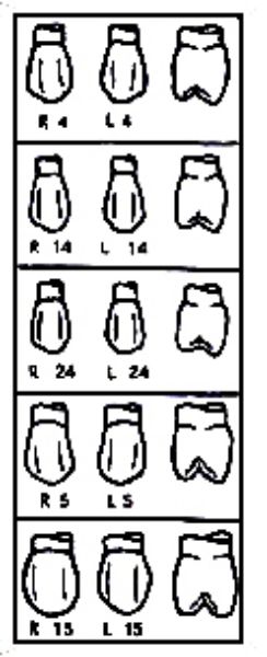 Pella Odus kroner nr.24