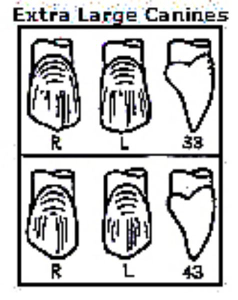 Pella Odus kroner nr.43