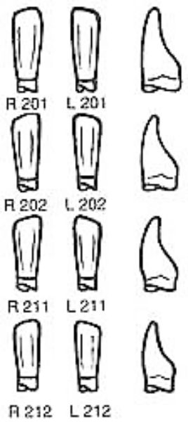 Pella Odus kroner nr.212