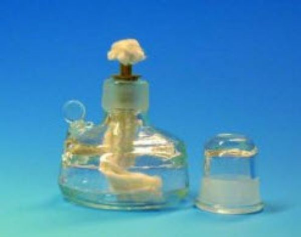 Spritlampe glass V8