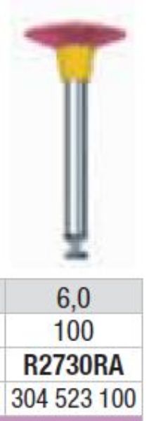 StarGloss diamant polerer R2730RA