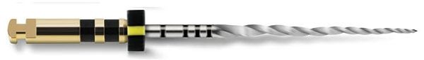 Protaper Next X4 sorte 31mm