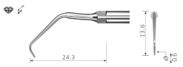 Ultrasonic Scalertips Endodontic EMS style E11D
