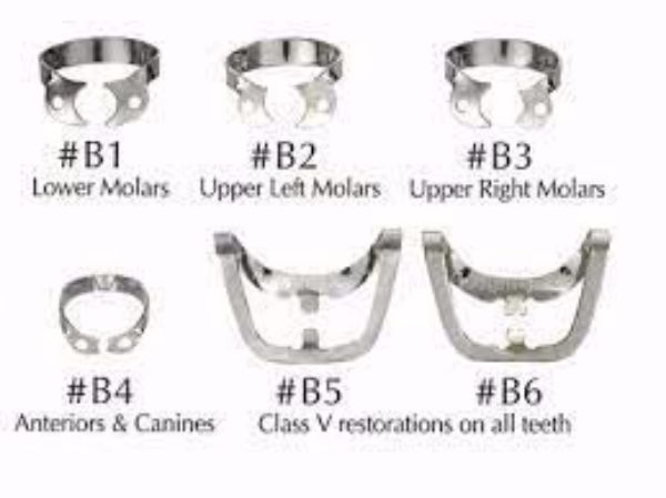 Hygenic Brinker Clamps H01054