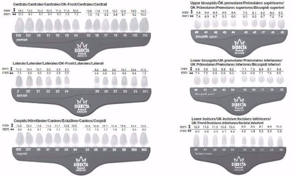 Directa plastkroner 302 