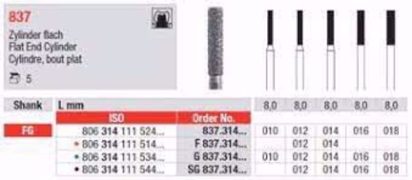Diamant bor F837 FG 012
