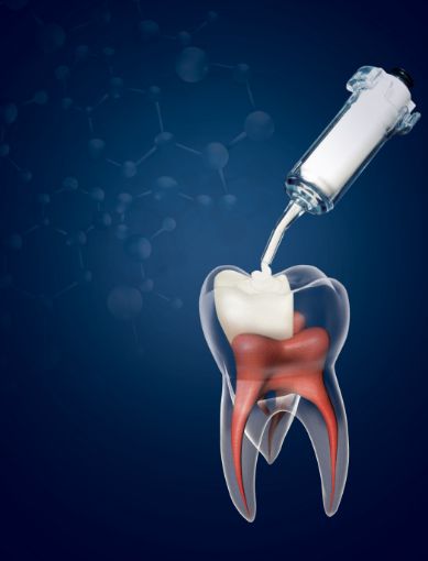 Biodentine XP 500, 10 kapsler, 10800O