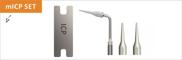 Ultrasonic lCP Peek, utbyttbare spisser, 10 stk, ICP Peek